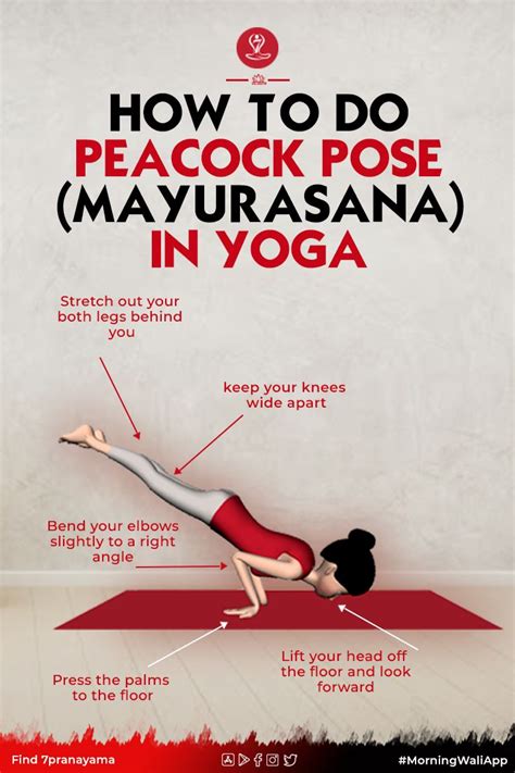 How To Do Mayurasana Steps Benefits Of Mayurasana Learn Yoga Poses