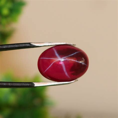 425 Ctnatural 6 Rays Red Star Ruby Oval 8x10x05 Mm Cabochon Loose
