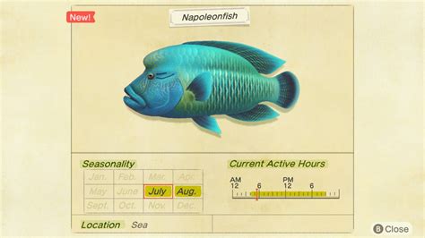 042023 Animal Crossing New Horizons Fish Guide And Complete List