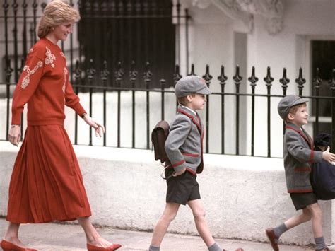 Best Photos Of Princess Diana Playing With Young William And Harry Sheknows