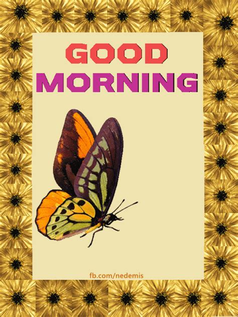 Good Morning Butterfly Message 