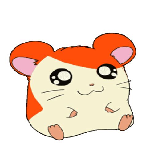 Hamster Clipart Hamster Cartoon Hamster Hamster Cartoon