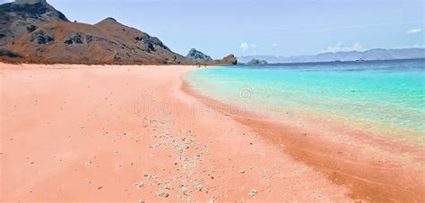 The Beauty Of The Pink Beach In Lombok Indonesia Stock Image Image