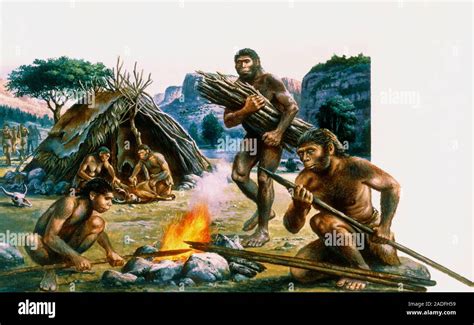 Early Use Of Fire Illustration Of A Tribe Of Homo Erectus Using Fire