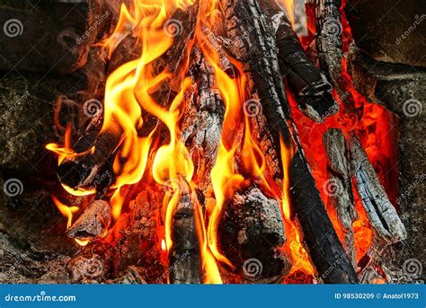 Texture Of A Bright Campfire Flame In The Open Air Stock Image Image