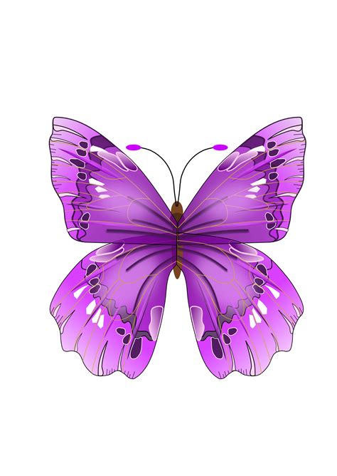 Free 212 Pink Butterfly Svg Svg Png Eps Dxf File