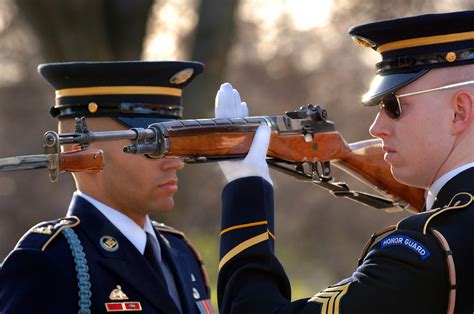 Free Images Soldier Commitment Profession Men Honor Precision