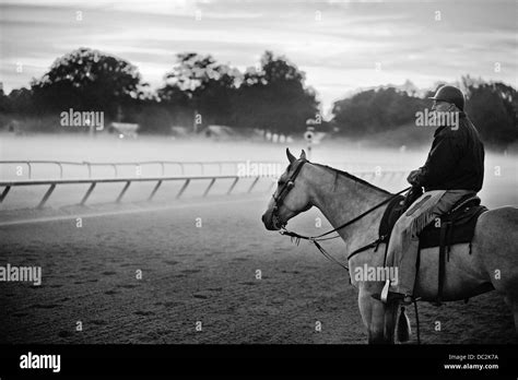 Saratoga Springs, New York, USA. 6th Aug, 2013. Horses exercise in the