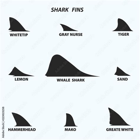 Types Of Shark Fins Black Icons On White Background Vector