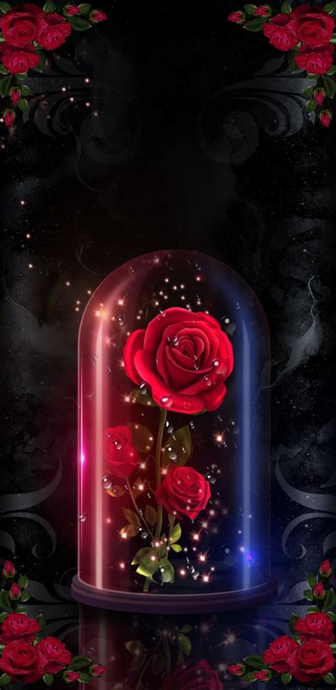 Beauty And The Beast Vintage Rose Wallpaper