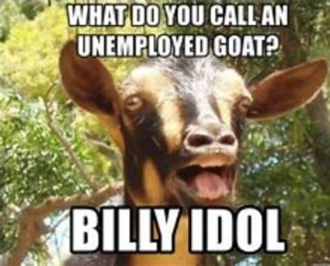 25 Of The Funniest Goat Memes So Far Let S Eat Cake