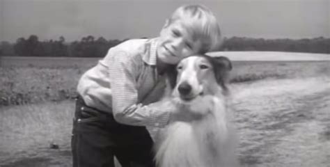 Jon Provost Aka Little Timmy From Lassie Is All Grown Up And Still