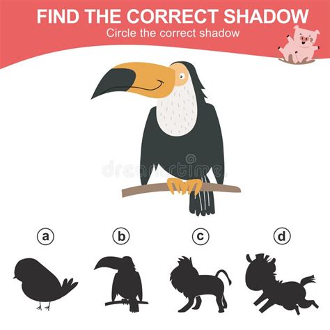 Find The Correct Shadow Of The Toco Toucan Matching Animal Shadow Game