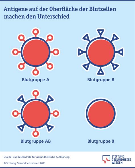 Blutgruppen: Das sollten Sie wissen