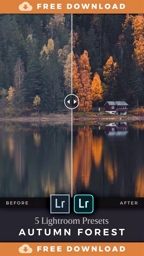 Today, we want to introduce you to quality free lightroom presets that will supercharge your workflow even further! FREE Autumn Forest Lightroom Presets in 2020 | Free ...
