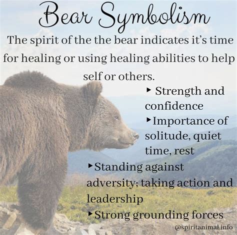 Bear Spirit Animal Meaning Bear Spirit Animal Spirit Animal Totem