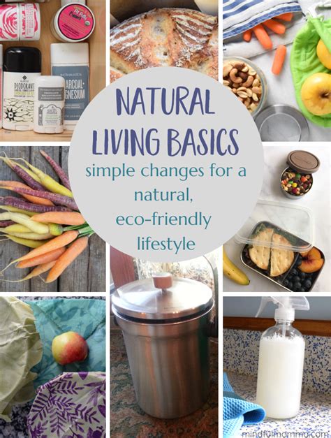 Natural Living Changes For A Healthy Home And Eco Friendly Lifestyle