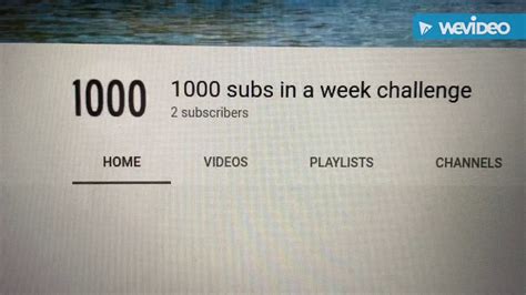 Does 1000 Subs In A Week Challenge Work Youtube