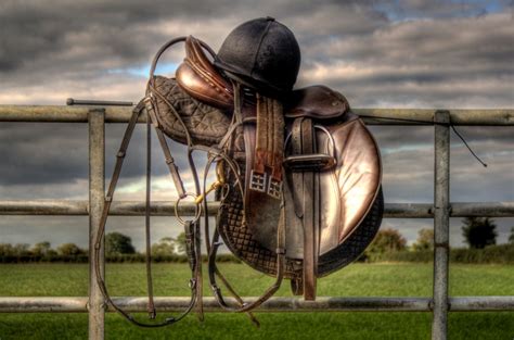 The front of the saddle should be set a little bit back from the front of the pad but not much. How to properly saddle Your horse - Horse GamesHorse Games