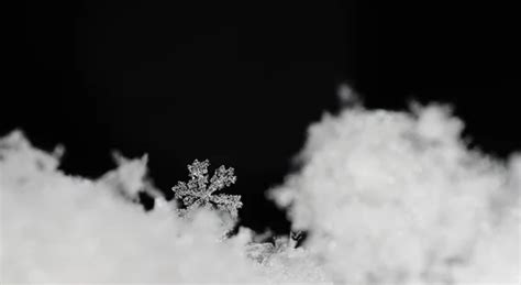 Beautiful Snow Crystal Stock Photo By ©thomaseder 23763475