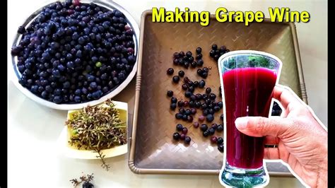 How To Make Grape Wine At Home Homemade Red Wine Recipe Craft