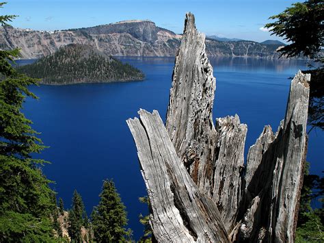 Crater Lake Stump Heres The Irresistible Scenic Snap Gail