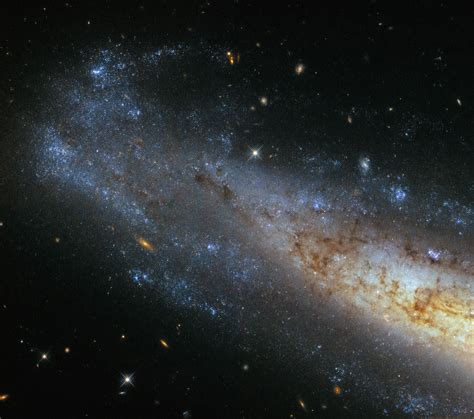 Astronomy, constellation, galaxy, outer space, science, space, stars. Hubble Image of the Week - Spiral Galaxy NGC 1448