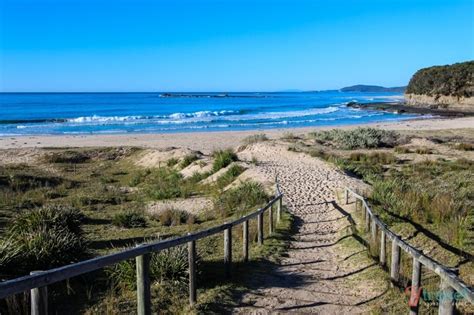 15 Best Beaches In South Coast Nsw Australia