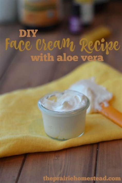 10 Easy Aloe Vera Face Moisturizer Recipes Blissonly