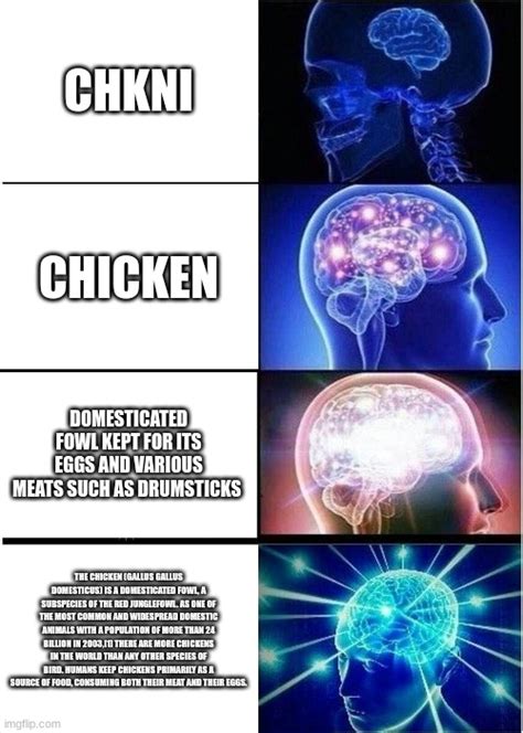 Chicken Imgflip