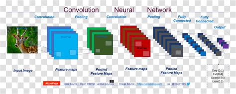 Everything You Need To Know About Convolutional Neural Convolutional