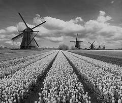 Healthcare Consulting Entry Level Positionsstatistics