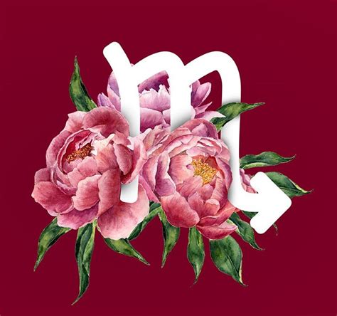 Check spelling or type a new query. Scorpio flowers | Flowers, Zodiac, Zodiac signs