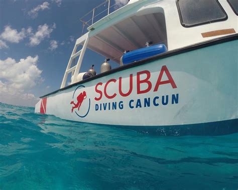 Scuba Diving Cancun 2023 What To Know Before You Go