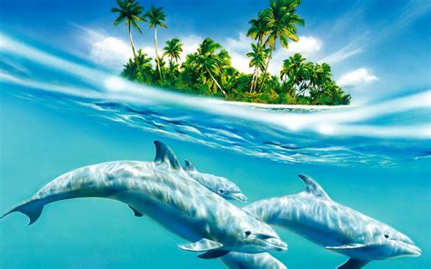 Cute Dolphins Hd Wallpapers Collection Hd Wallpapers Backgrounds