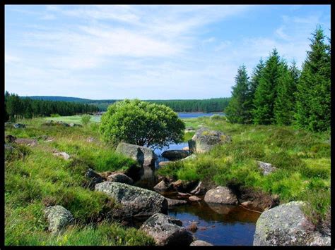 We did not find results for: lozère | Lozère, Paysage, Evasion