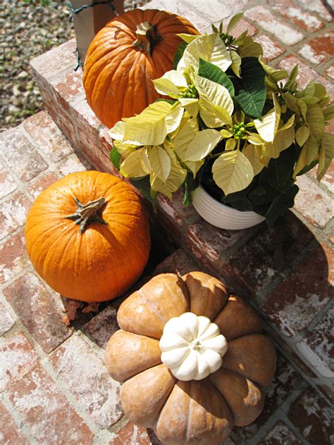 We picked 15 pumpkin decor finds that are perfect for celebrating fall. Outdoor Halloween Decorations With Pumpkins - Decoration Love