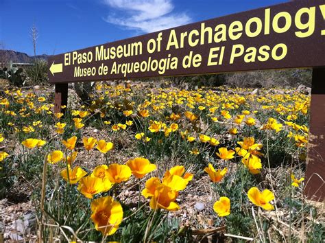 What Is El Paso Famous For – Tourism Company and Tourism Information Center