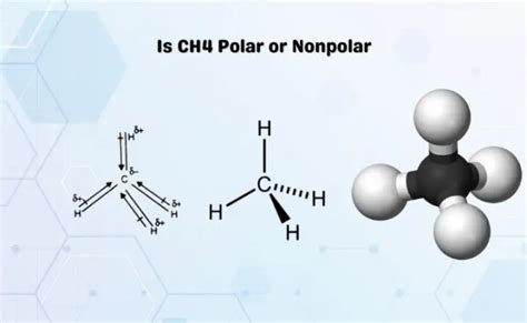 Ch4 Polar Or Nonpolar Start Studying Polar And Nonpolar Otosection
