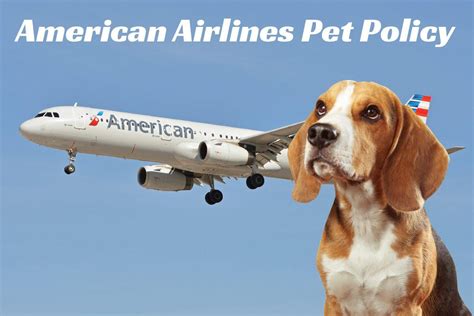Each airline has different policies for traveling with a pet, although almost all airlines require the carrier to allow your pet enough space to stand up, turn due to covid, some airlines, like delta and american, are not allowing pets as cargo. US Service Animals - Can You Bring Your Pets Aboard ...