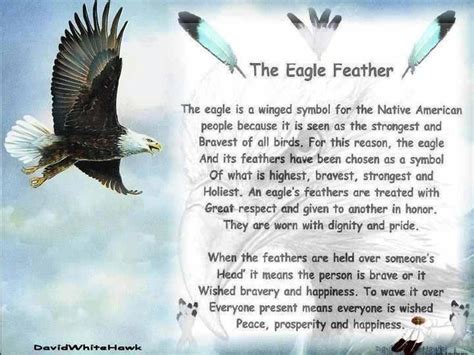 The Eagle Feather Native Quotes Pinterest Feathers The Ojays