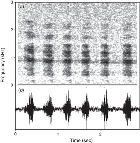 Bout Of Chase Bark A Spectrogram Frequency Vs Time B