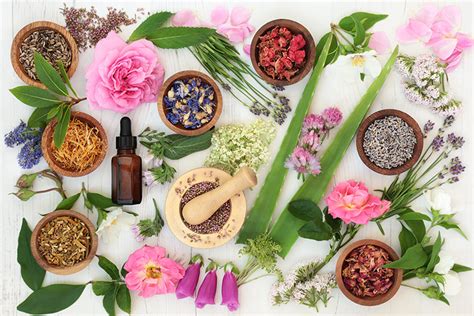 Shop quality homeopathic medicines from leading brands like sbl, dr.reckeweg, schwabe etc. Perfect Bach Flower Remedies for Each Astrological Sign ...