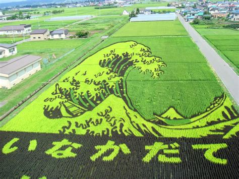 Yusuke Japan Blog The Rice Field Art That Is The Most Beautiful In The