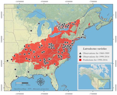 The strength of black widows' webs are comparatively stronger than steel! 'Citizen science' yields updated predicted distributions ...