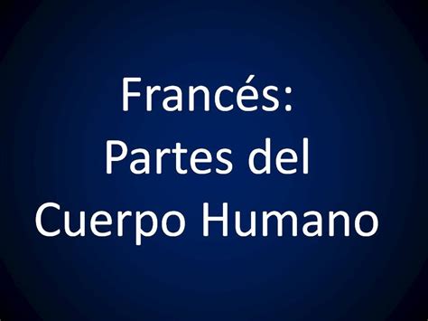 Francés Lección 16 Partes Del Cuerpo Humano Youtube
