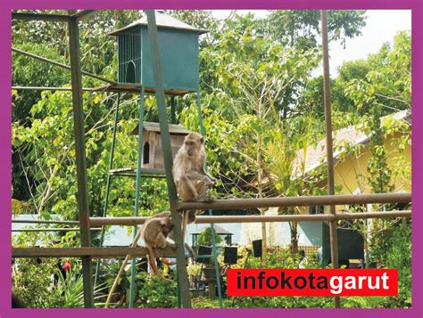 Bali zoo park tiket masuk kebun binatang review ticket harga price night safari breakfast with orangutans ubud tripadvisor untuk lokal elephant ride alamat singapadu map gianyar groupon entrance fee lokasi marine hotel 2021 sejarah lokasi bali zoo. hewan-terlangka2016: kebun binatang di jawa barat Images