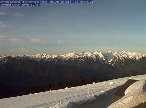 Olympic National Park Hurricane Ridge Image From National Park Service