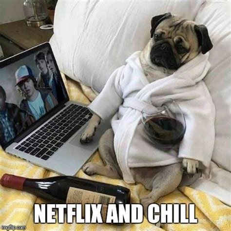 Netflix And Chill Imgflip