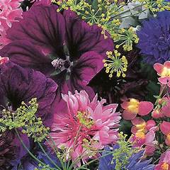 Natures Haven Zillows Homes Nestled Amidst Pensacolas Natural Beauty